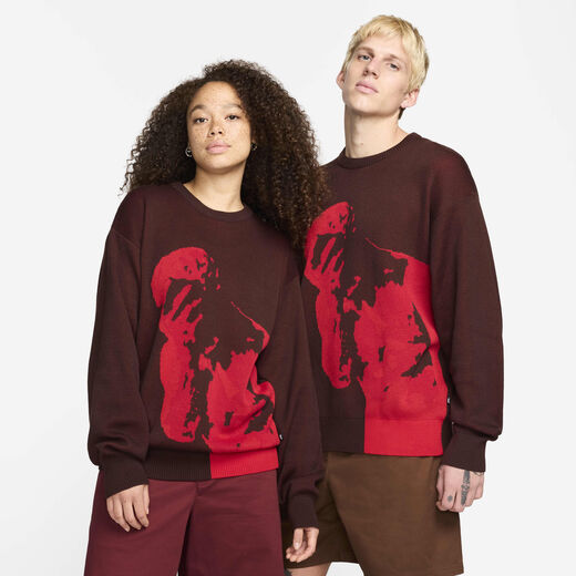 تيشيرتات وقمصان-نايكي, نايكي SB, هودي التزلّج