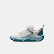 Nike Omni Multi-Court