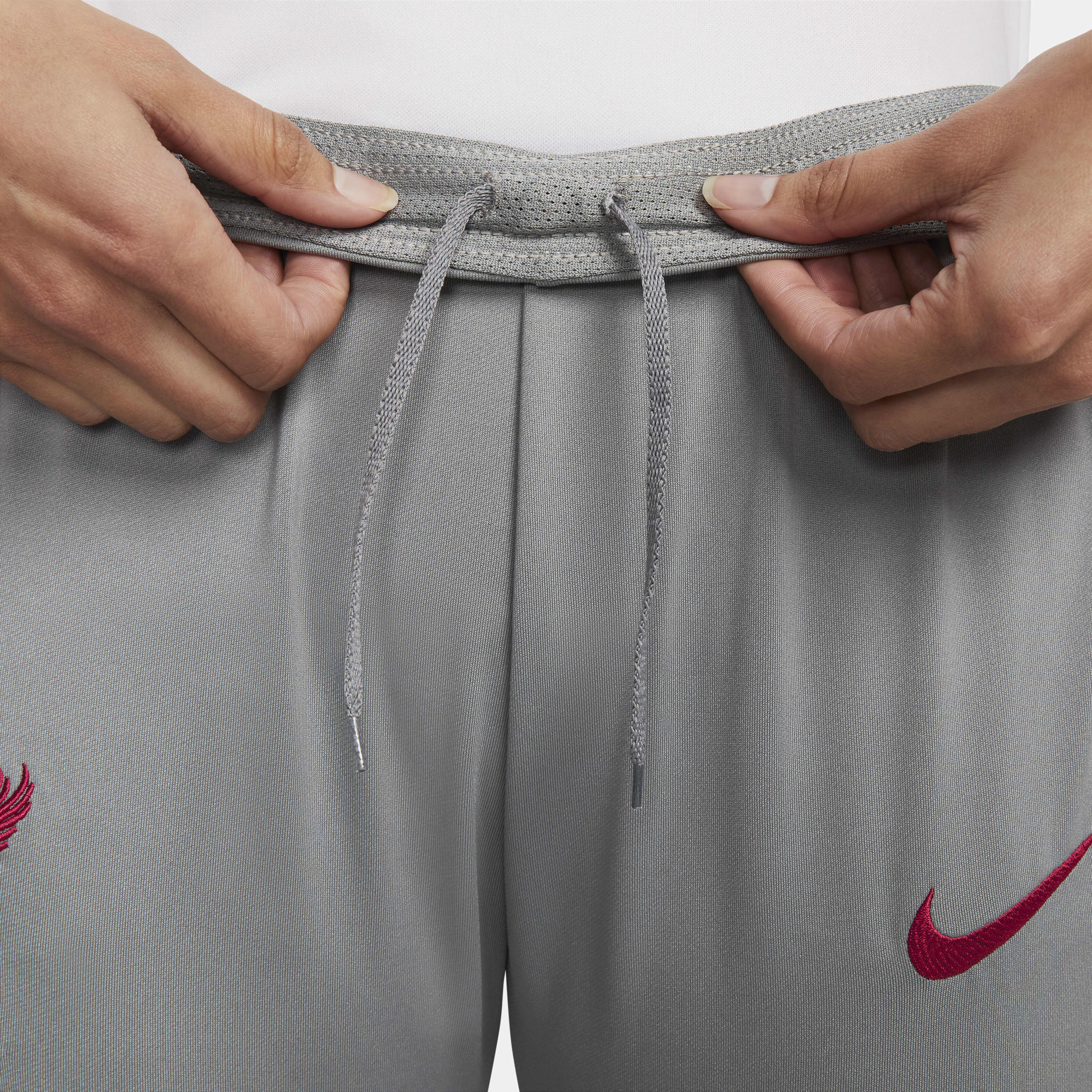 Liverpool F.C. Strike image number 2