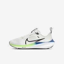 Nike Air Zoom Pegasus 40
