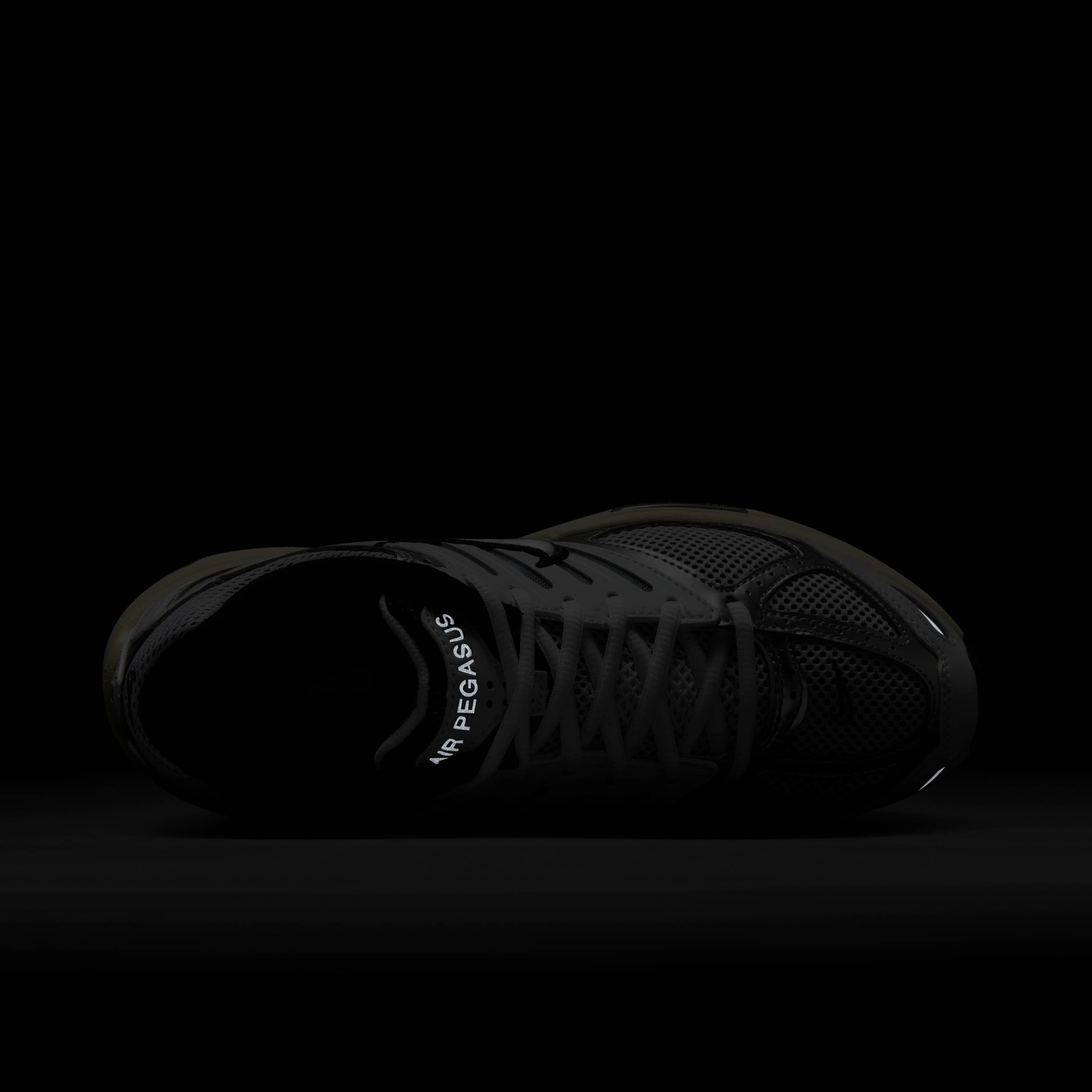 نايكي اير بيجاسوس 2005 image number 8