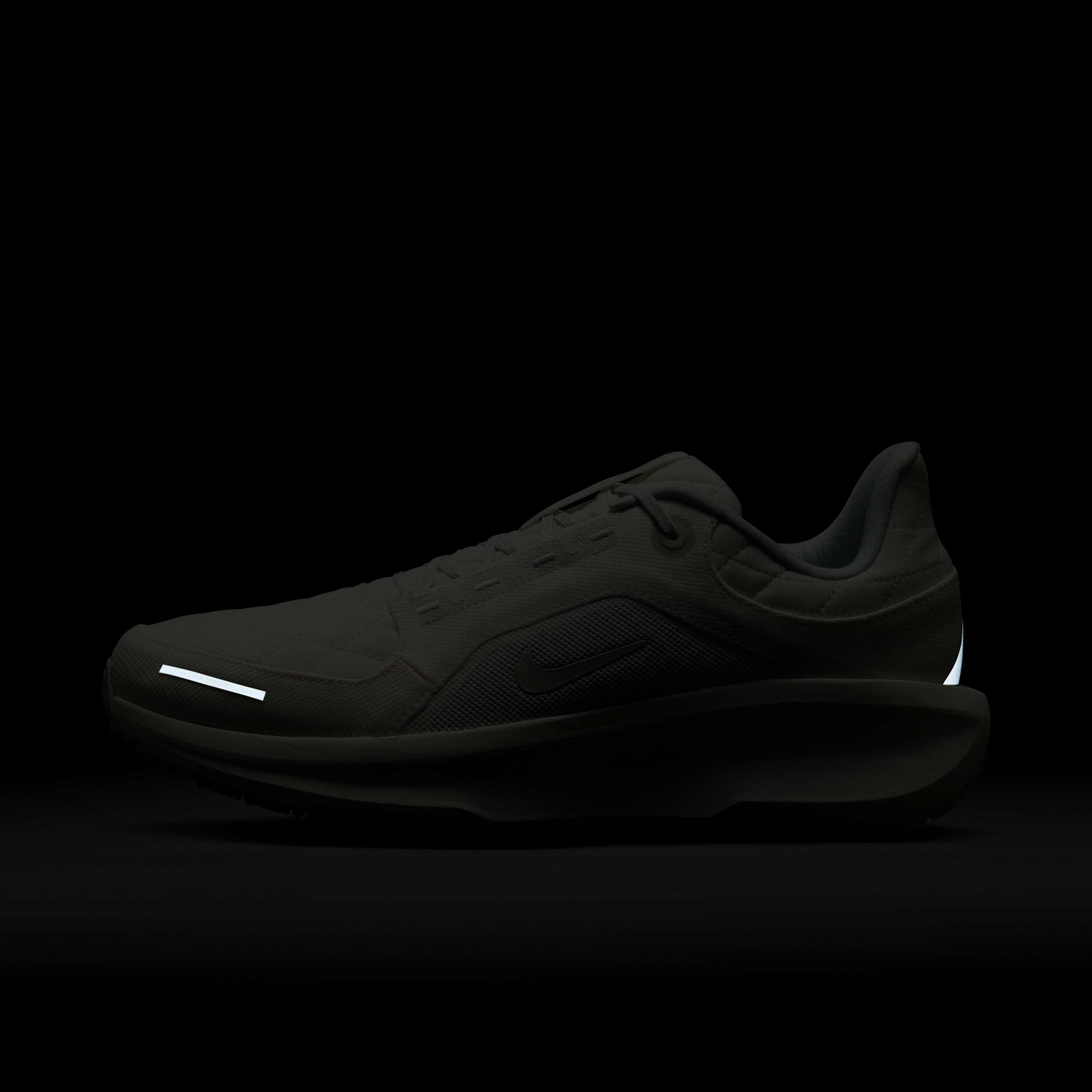Nike Winflo 11 GORE-TEX image number 10