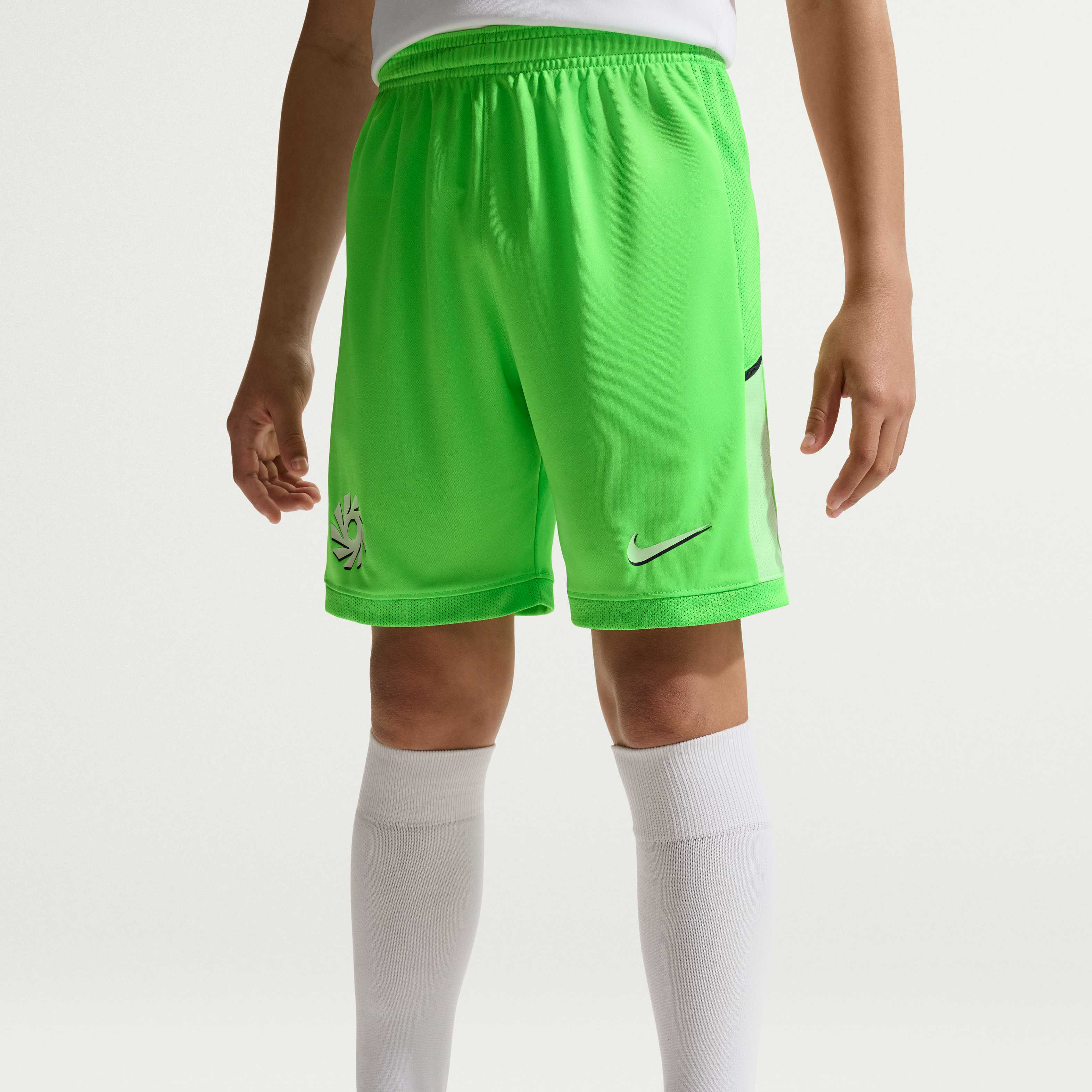 Erling Haaland Academy image number 1