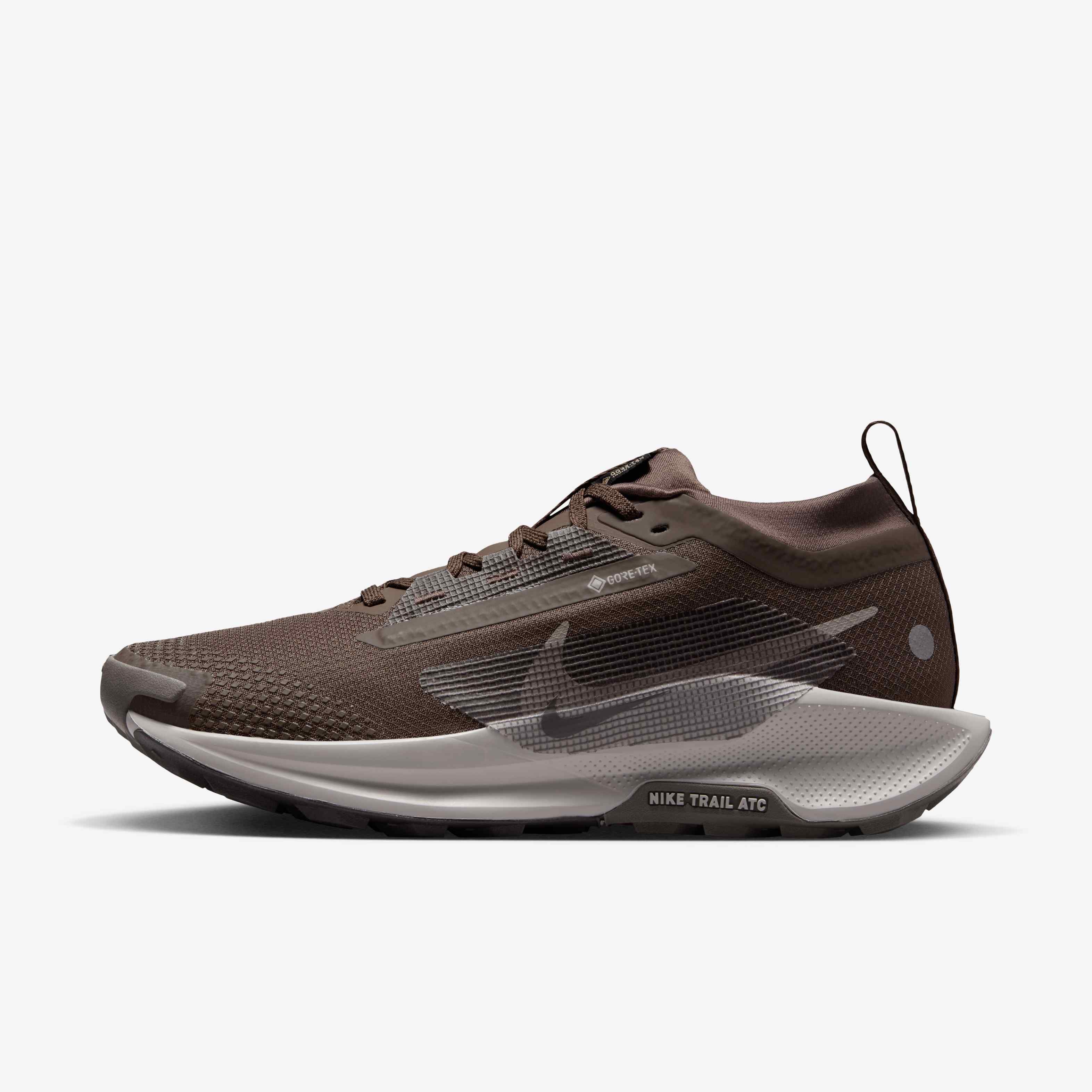 Nike Pegasus Trail 5 GORE-TEX image number 0